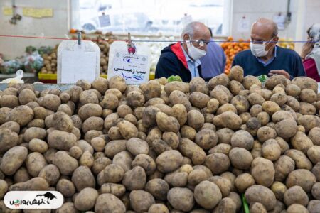 عدم عرضه به بازار علت گرانی سیب زمینی در همدان