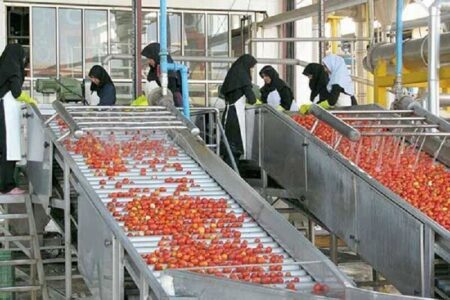 ساخت ۲۴۱ واحد صنایع تبدیلی در همدان / 4 هزار نفر مشغول بکار می شوند